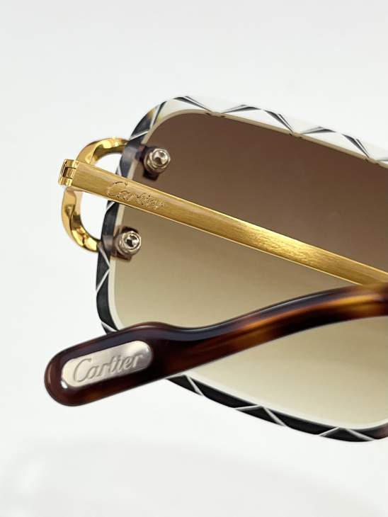 Picture of Cartier Sunglasses _SKUfw79280615fw
